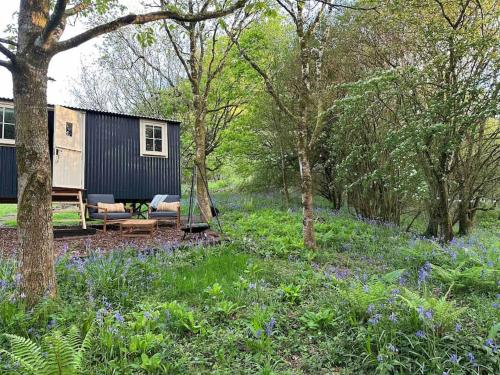 Cornwall Woodland Shepherd's Hut - Dennis Hut in Lanivet
