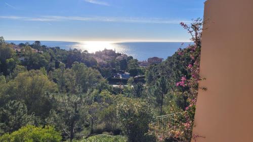 Seaview house, close Cannes, pool, garden. garage