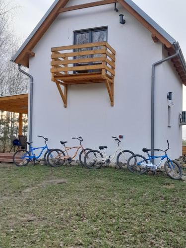 Sports un aktivitātes, Przystanek Las in Gasawa