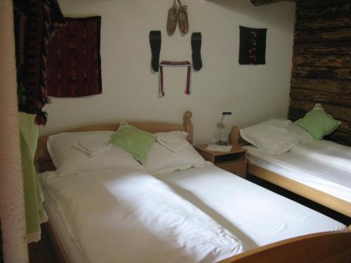 Apartments Izvor Lisine - image 13