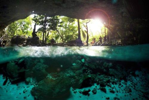 Loft Cabin in Cenote Dos OjOs Natural Park Tulum, Pool, WIFI, AC