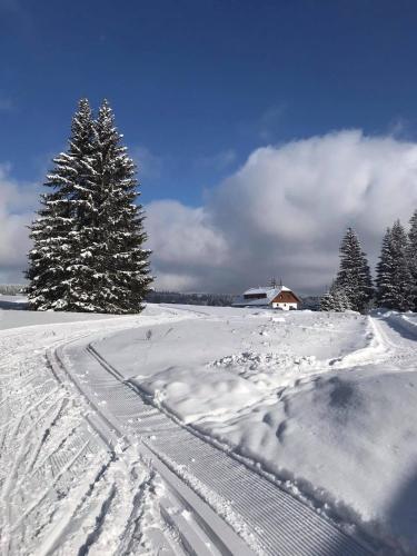 Apartmány v Chalupě nad Modravou (Apartmany v Chalupe nad Modravou) in โมดราวา