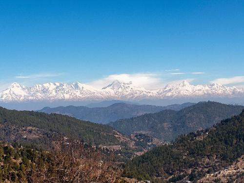 The Pahadi Nest Mukteshwar