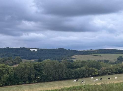 Twattleton Cottage Kilburn Yorkshire - Beautiful views