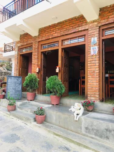 Exterior view, Shristi Hotel & Lodge in Bandipur