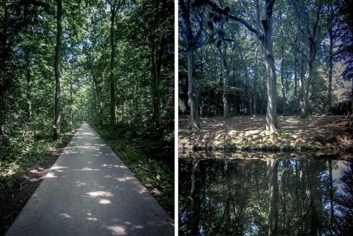 Solaris, Egmond aan den Hoef (fotografie 10)