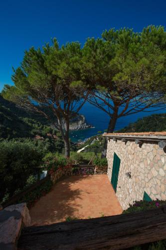 Calapiccola Luxury apartment with the view on Giglio and Giannutri islands