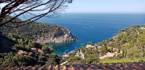 Calapiccola Luxury apartment with the view on Giglio and Giannutri islands