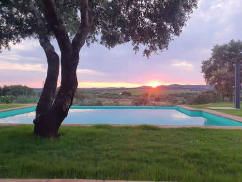 CASA RURAL MONTE DE AJUDA in Olivenza