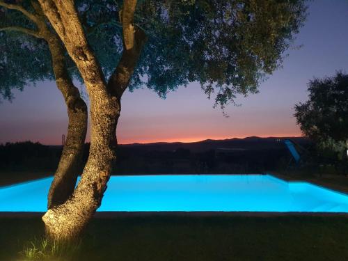Peldbaseins, CASA RURAL MONTE DE AJUDA in Olivenza