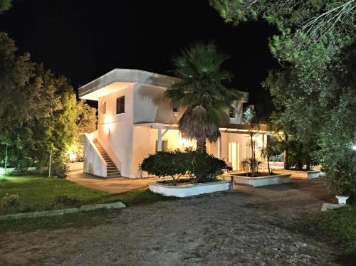 Tenuta Primaterra 5