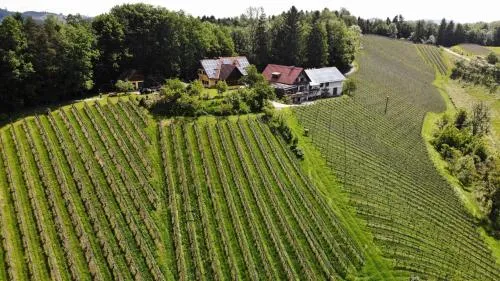 Weingut spitzyPeitler in Leutschach, Österreich
