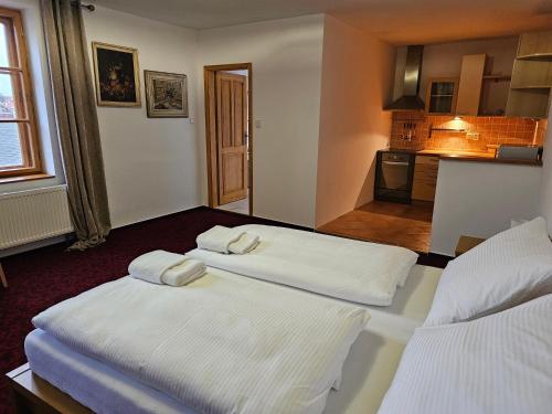 Hotel Bílá Paní - image 3