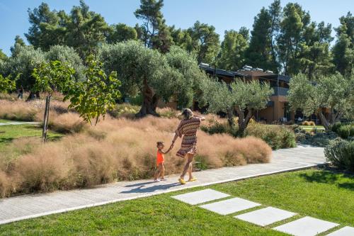 Sani Verde Sani Verde