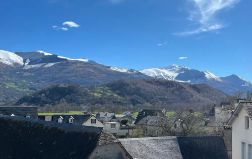 Grand appartement vue montagne - Location saisonnière - Ayzac-Ost