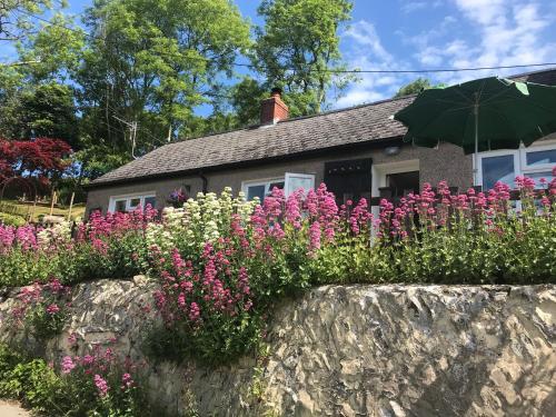 Iekārtas, Tanyfron Llangrannog in Talgarreg