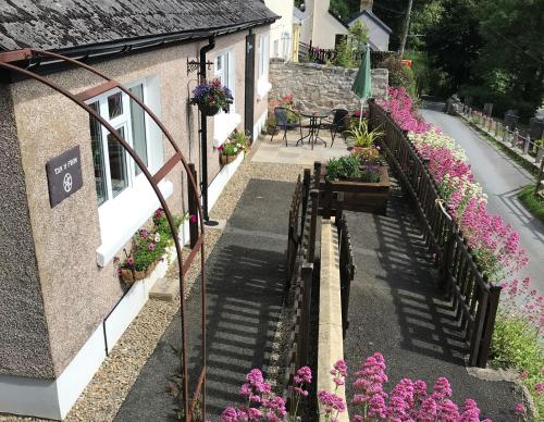 Viesnīcas āriene, Tanyfron Llangrannog in Talgarreg