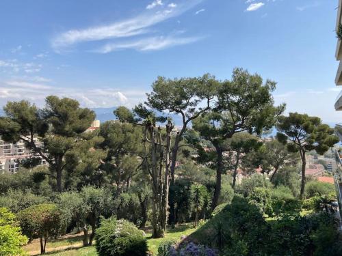 Nice Sea View Apartment Pool Terrace AC 1 bedroom, Nice (fotografie 7)