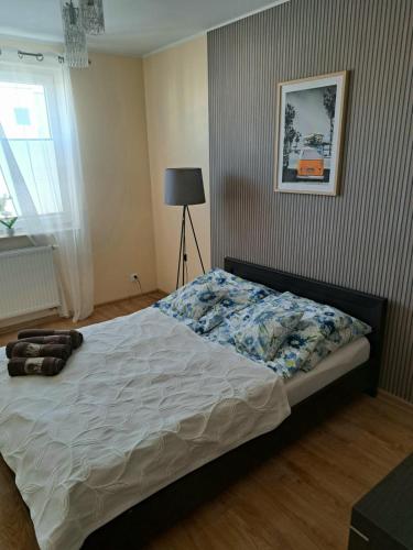 Słoneczny - Mala Apartamenty - Apartment - Wejherowo