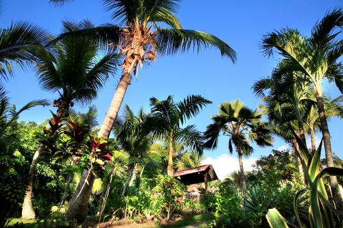 Hotel - Résidence Habitation Grande Anse