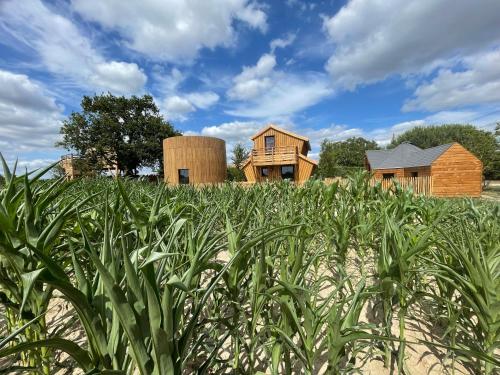 Skats, La Cabane Féerique - Les Pieds dans le Pré (La Cabane Feerique - Les Pieds dans le Pre) in Les Landes-Genusson