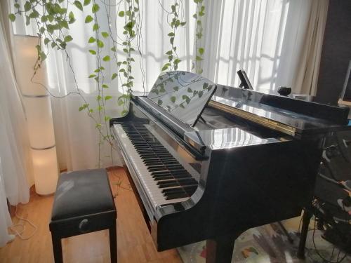 Lovely central flat with grand piano, family friendly, Berlino (foto 2)