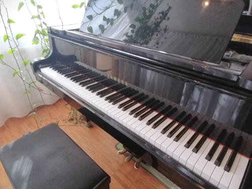 Lovely central flat with grand piano, family friendly, Berlino (foto 3)