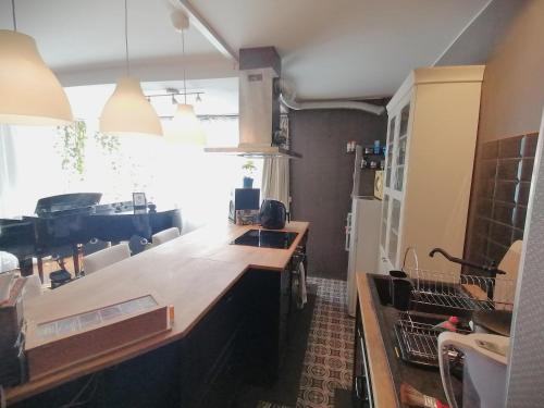 Lovely central flat with grand piano, family friendly, Berlino (foto 8)