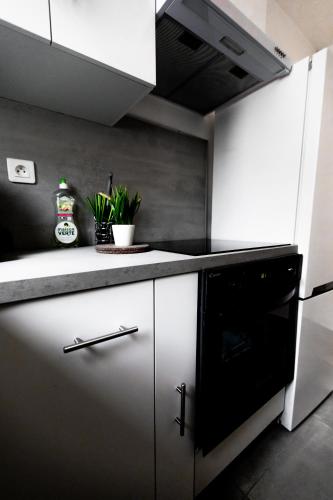 кухня, ****ChillChic/Espaces Verts/Centre Ville/Paris**** in Таверни