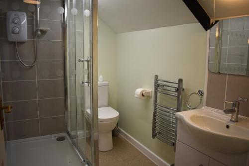 Kingfisher Kingfisher