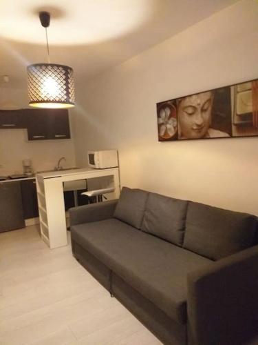 studio meublé wifi à proximité du tram - Apartment - Castelnau-le-Lez