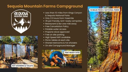 Campgrounds at Sequoia Mountain Farms