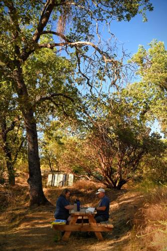 Campgrounds at Sequoia Mountain Farms