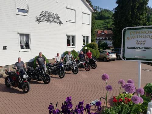 Pension Rheingold Garni 4