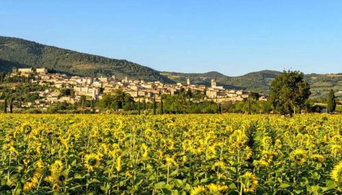 Cascina Ridolfi - Il Nido d'Amore