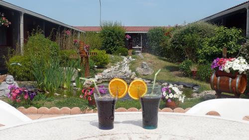 Hotel Restaurant Les Jardins D'Epône - image 9