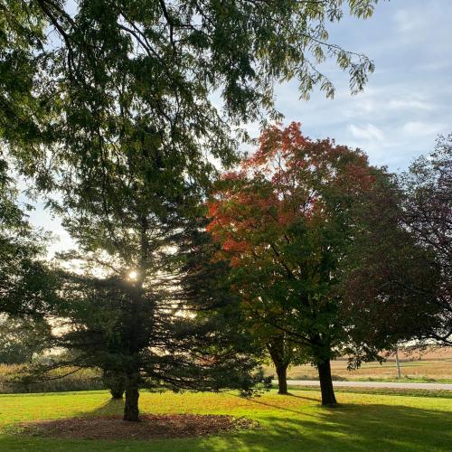Large Farmhouse near RA, Kohler and Golf. Exclusive amenities and room for all! in Plymouth, USA