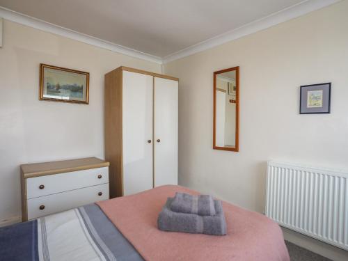 Tan Twr Farm Cottage - image 12
