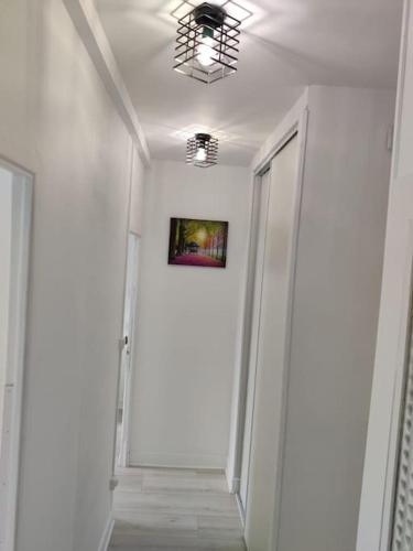 Appartement meublé F4 Centre Clermont-Ferrand proche Gare SNCF, Stade Rugby, Jaude,