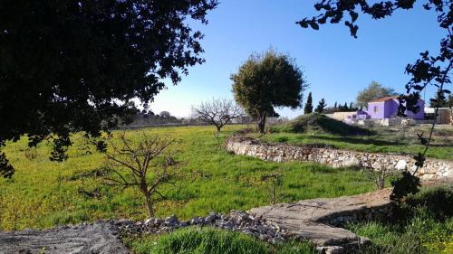 Jerash mountain studio chalet شاليه جبال جرش و عجلون