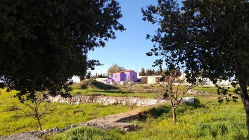 外観, Jerash mountain studio chalet شاليه جبال جرش و عجلون in ジェラシュ