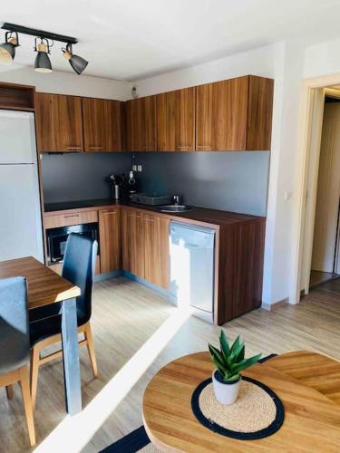 Appartement 6 personnes les terrasses d isola2000