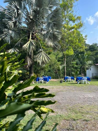 El Rancho de Andres Hotel Campestre in Nocaima