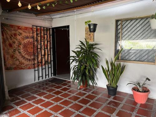 Nice Place, Medellín (fotografie 4)