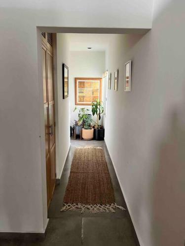 Cozy Home in Downtown Cabo. Walk to the Beach in Cabo San Lucas, Mexico