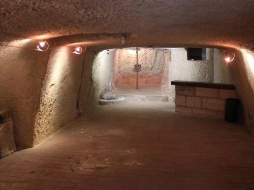 Gîte Médiéval Croglodytique à Loches avec Animaux Acceptés - FR-1-381-162 (Gite Medieval Croglodytique a Loches avec Animaux Acceptes - FR-1-381-162) in 洛什