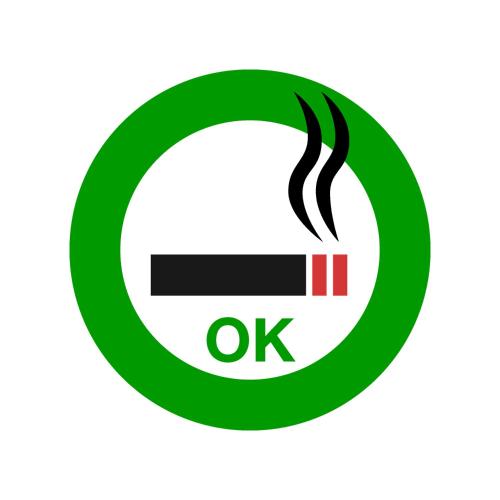 Single Room - Smoking