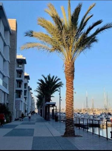 Luxury Haven Sleeps 3 Along The Famous Marina Walk