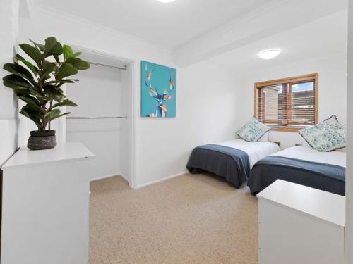 Allinga Apartment, Jindabyne (fotografie 2)