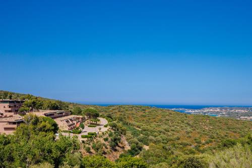 Asfodeli Cugnana Verde